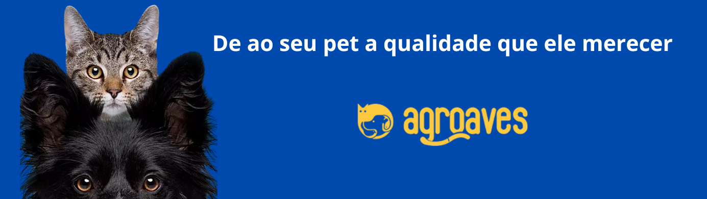 boas vindas