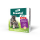 Vermífugo Drontal Plus para Cães de 10kg com 2 Comprimidos Elanco