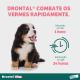 VermÃ­fugo-Drontal-Puppy-SuspensÃ£o-Oral-para-CÃ£es-Filhotes-20ml-Elanco.jpg