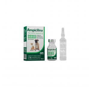 Ampicilina Veterinária Injetável 2g Vetnil