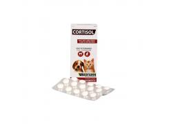 Anti-inflamatório Cortisol com 20 Comprimidos Biofarm