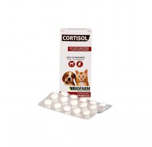 Anti-inflamatório Cortisol com 20 Comprimidos Biofarm