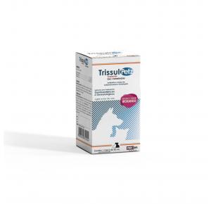 Antibiótico Trissulpetz Suspensão Oral Noxon 50ml