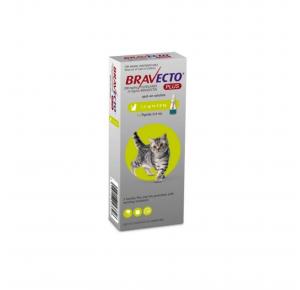 Bravecto Plus Gato 1.2 à 2.8kg 1 Pipeta