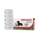 Anti-inflamatório Meloxinew 1 mg para Cães e Gatos Vetnil 
