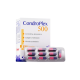 Suplemento Condroplex 500 - Avert