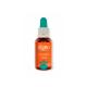 Floral-Pet-Bio-Ideal-Aprendizado-30ml-Digno.jpg