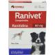 Medicamento Ranivet 80mg Coveli