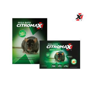 Ratoeira Adesiva Pega Rato Citromax