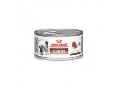 Ração Royal Canin Lata Canine e Feline Veterinary Diet Recovery Wet 195g