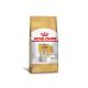 RaÃ§Ã£o-Royal-Canin-MaltÃªs-para-CÃ£es-Adultos-1kg.jpg