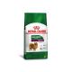 RaÃ§Ã£o-Royal-Canin-Mini-Indoor-CÃ£es-SÃªnior-1kg.jpg