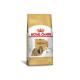 RaÃ§Ã£o-Royal-Canin-Shih-Tzu-para-CÃ£es-Adultos-1kg.jpg