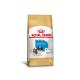 RaÃ§Ã£o-Royal-Canin-Shih-Tzu-para-CÃ£es-Filhotes-1kg.jpg