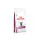 RaÃ§Ã£o-Royal-Canin-Veterinary-Renal-Special-para-Gatos-Adultos-1.5kg.jpg