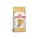 RaÃ§Ã£o-Royal-Canin-Yorkshire-para-CÃ£es-Adultos-1kg.jpg