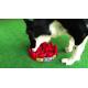 Comedouro Interativo Pet Games Lento 27cm PetFit - Cores 