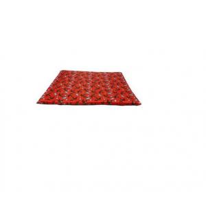 Colchonete Tactel Com Ziper N2 (73x50) Cores  - unidade