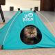 cabana-pet-de-tecido-azul-para-caes-e-gatos-53cm---le-patin 3