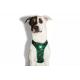 Peitoral para cachorros mesh plus Woods Zeedog -PP