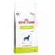 Ração Royal Canin Veterinary Diabetic para Cães Adultos 1.5kg