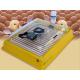 Chocadeira Hobby 70   (70 Ovos) controle digital de temperatura