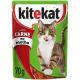 racao-umida-kitekat-para-gatos-carne-ao-molho-70-g-1