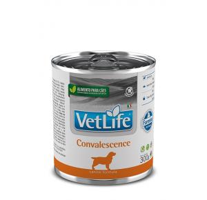 Ração Úmida para Cães  Vet Life Convalescence 300g